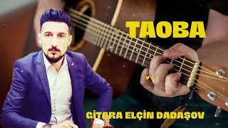 Taoba gitara Elçin Dadaşov Gürcü mahnisi 2022