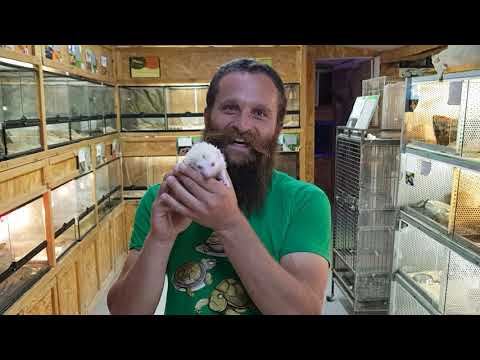 דש מצנובר השחקן בסדרת שעת נעילה