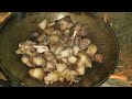 Pork curry with rice in Village🍱||Natural cooking🍴