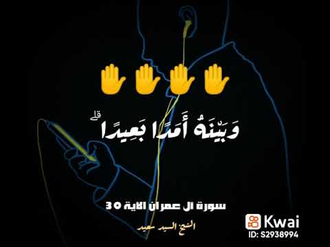 امجاد الشيخ السيد سعيد 