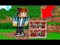 ESCONDE-ESCONDE COM DISFARCE DE UM BLOCO DE TIJOLO NO MINECRAFT !! - ( Minecraft Esconde-Esconde )