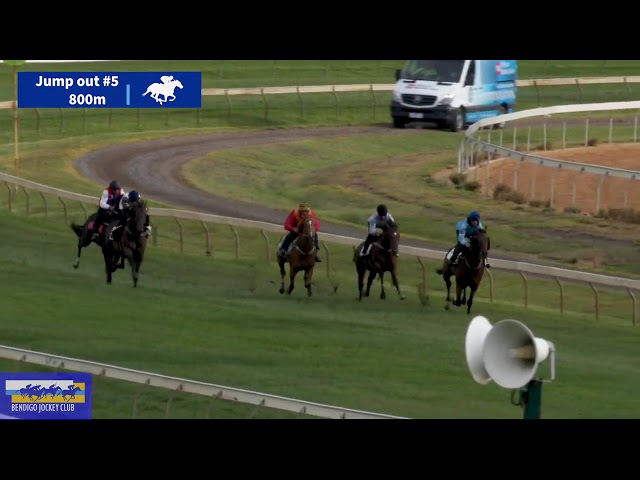 Mystery Dancer Jumpout Heat 5 (800m) at Bendigo (18.02.2020)