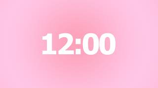 12 Minute Timer 🌸 No Music | 12 Minute Aesthetic Countdown Timer | 12 Minute For Classroom