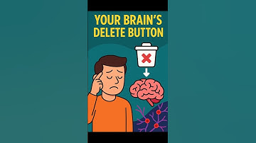Brain’s Delete Button: Why You Forget Things  #didyouknow #facts #shorts