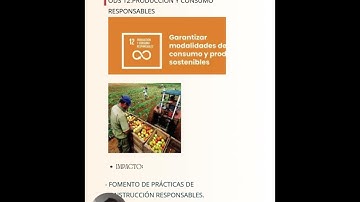 presentacion fase 4 componente practico-practicas simuladas