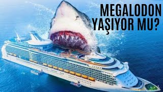 Megalodon Köpek Balığı Gerçekten Var Mı  Megalodon Hakkında Gizemli 3 Kanıt