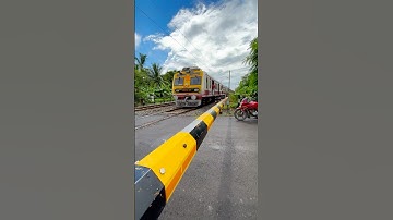 Furious Emu Crossing Railgate #shorts