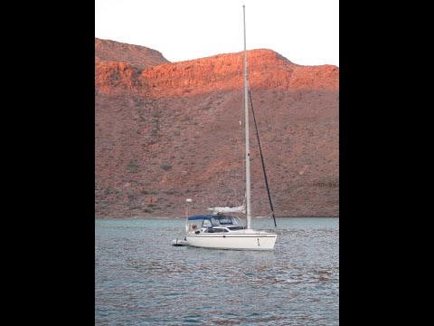 Hunter Vision 36 