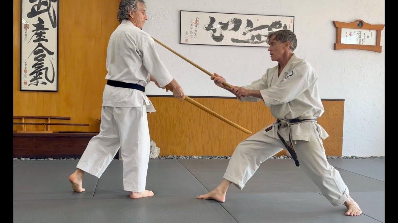rick hotton sensei - hands and feet as swords  pt.1