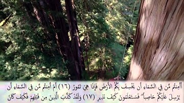 سورة الملك .. القارئ عبدالولي الاركاني