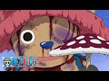 Mushroom | One Piece