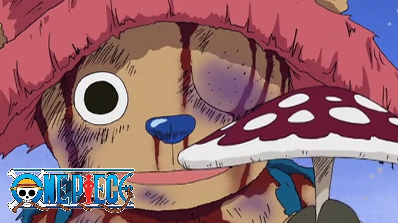 Mushroom One Piece YouTube