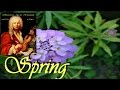 ANTONIO VIVALDI - La primavera ( Spring - full version)