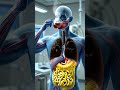 What Happens When You Drink Tea on an Empty Stomach vs After a Meal? | 3D Digestive Animation