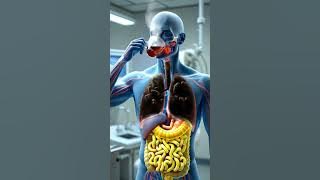 What Happens When You Drink Tea on an Empty Stomach vs After a Meal? | 3D Digestive Animation