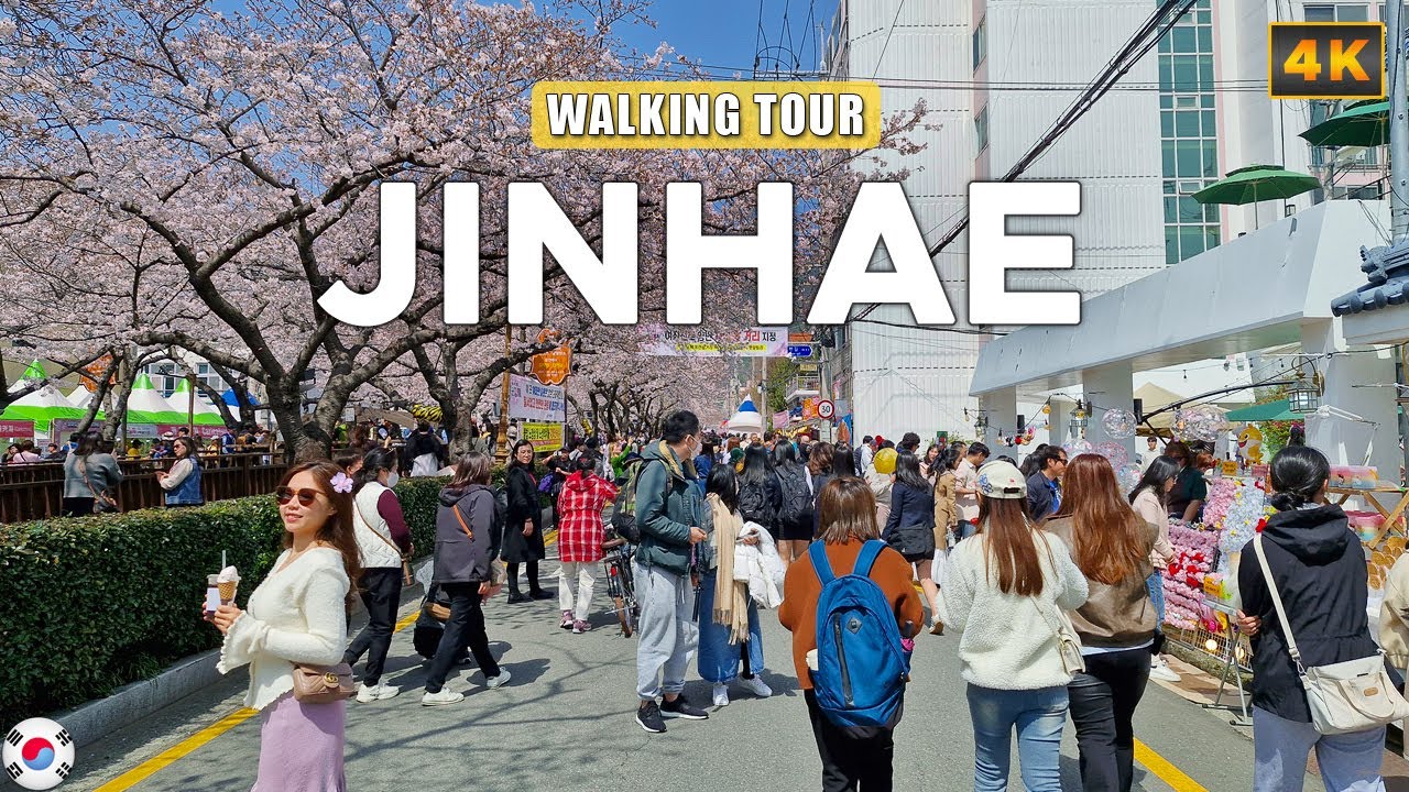 Чинхэ, КОРЕЯ - Фестиваль цветения сакуры в Кунхандже, 2024 г.