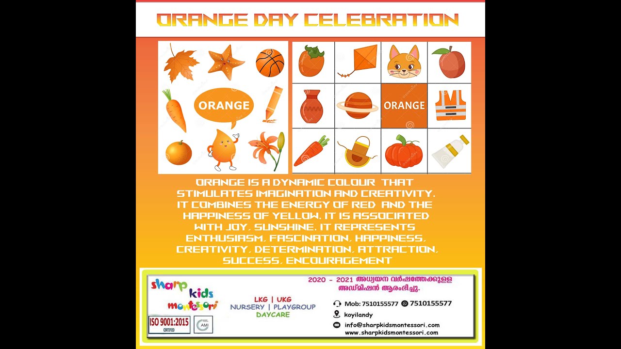 Orange Day Celebration 2020 YouTube orange-day-celebration-2020-youtube
