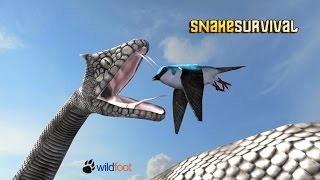 Snake Survival Simulator Android Gameplay screenshot 4