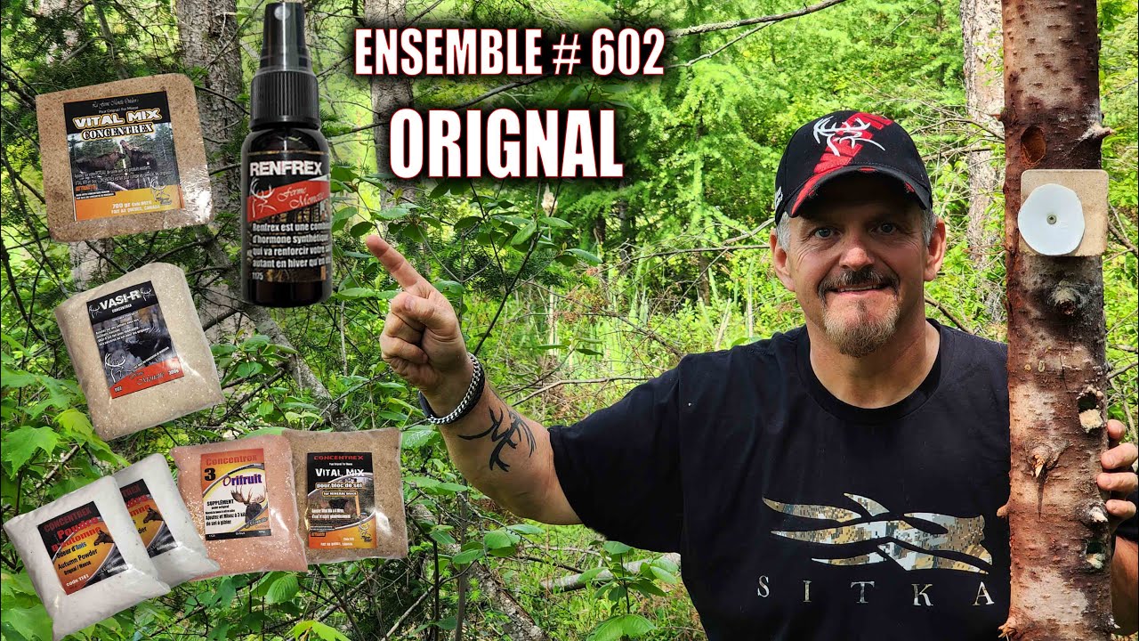 Comment reactiver vos salines d'orignal avec l'ensemble