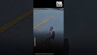 SUV races past stopped bus
