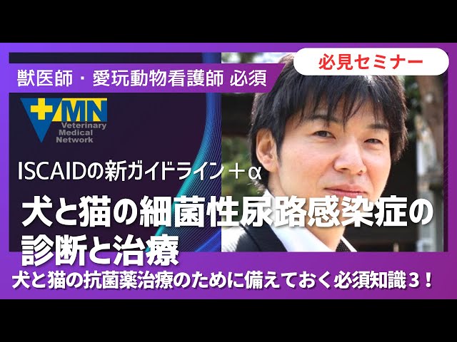 原田 和記先生による抗菌剤セミナー「犬と猫の細菌性尿路感染症