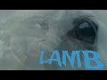LAMB(2021) जानिए मेमने की एक अनोखी कहानी हिंदी में Movie Explanation In Hindi NEXTONETVYT