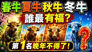 春牛、夏牛、秋牛、冬牛誰最有福？出生季節早已暗藏你的財運，第一名晚年富得不得了！