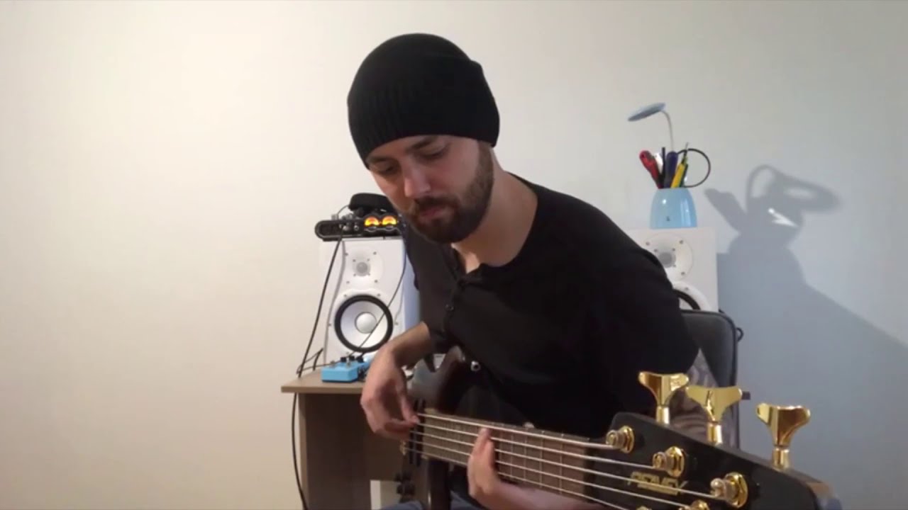 Chip 'n' Dale (Bass cover by Aleksandr Shturmak)