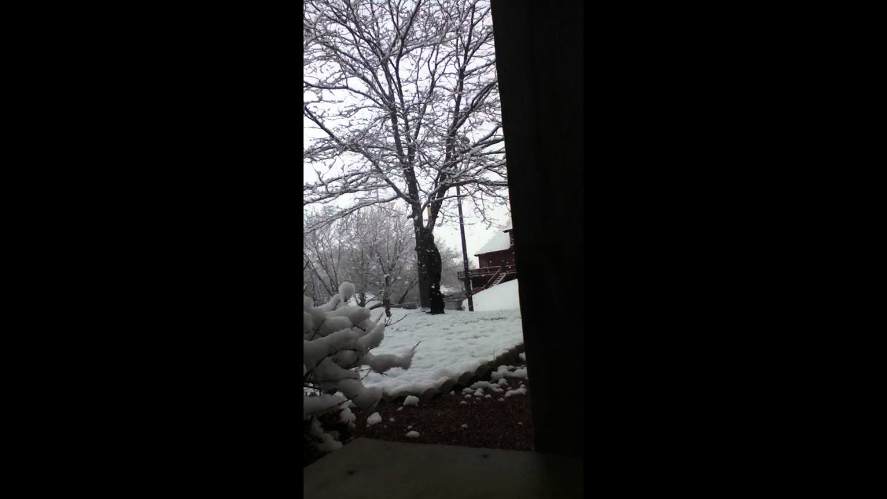 Kicking tree YouTube