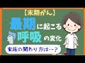 【末期がん】最期に起こる5つの呼吸の変化は？｜現場で見てきた看護師の話 (5 Changes in Breathing Near the End of Life)