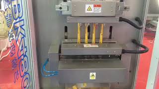 DXD-BK480 Full Automatic Back Sealing Multi-line Granule Packing Machine