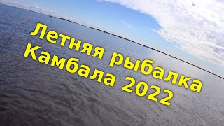 Камбала 2022. Белое море