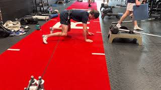Resisted lateral bear crawl