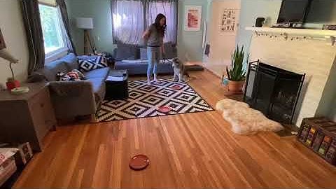 Loose Leash Walking “Connect the Dots”