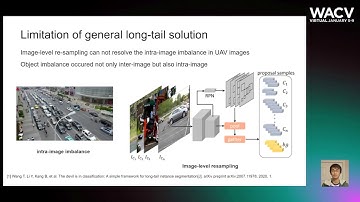 589 - Towards Resolving the Challenge of Long-tail Distribution in UAV Images for Object Detection