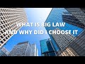 WHAT IS BIG LAW AND WHY I CHOSE IT FOR MY CAREER PATH