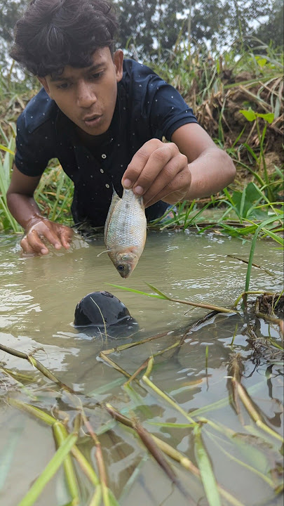 Unbelievable Fishing Technique. Catching big fish with dead fish#fish#fishing