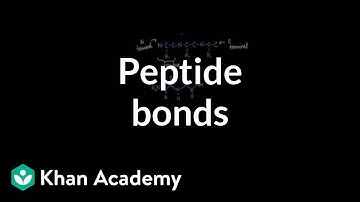 Peptide bonds: Formation and cleavage | Chemical processes | MCAT | Khan Academy