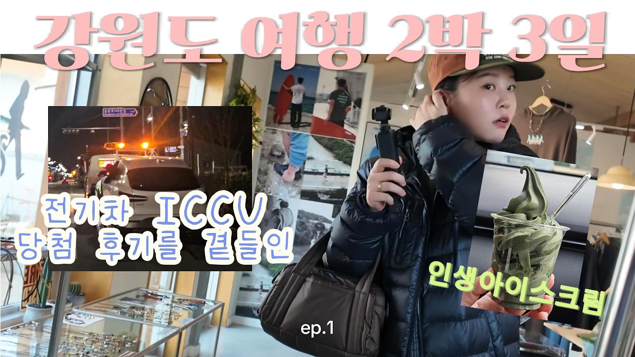 강아지랑 강원도 2박3일 여행 : 고성, 속초, 강릉 🤍 강원도 맛집, 인생아이스크림, 오징어난전, 강릉시장, 안반데기, 강릉 반려동물동반, ICCU결함, 제네시스
