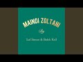 Maindi Zoltani Bulek Ke3 