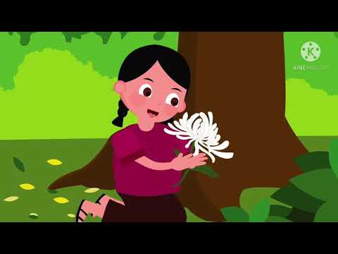 Truyện: bông hoa cúc trắng