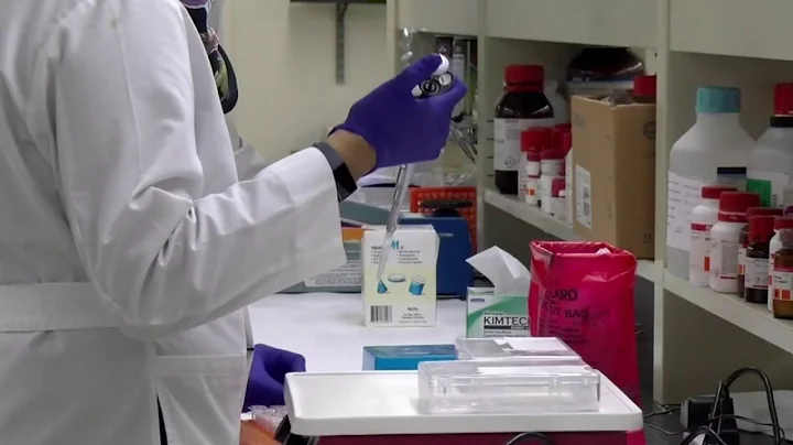 Research: Gut bacteria impacts brain health - DayDayNews