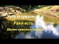 Уход за прудом-водоемом. Вред органических веществ для пруда. Раки есть. Малек красного карася.