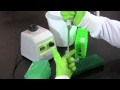 Quantifying Bacterial Concentration Using Serial Dilution and Plate Count Method