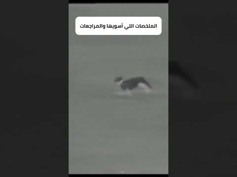 وضعي لمن أشرح مواد جديدة واقع حقيقي