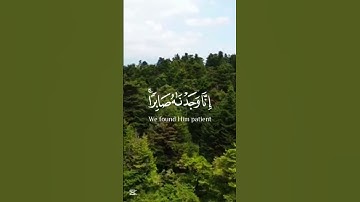 قرآن الكريم سورة ص الآية 44The Holy Quran, Surah Sad, Verse 44 #قران_كريم #انقذوا_غزة