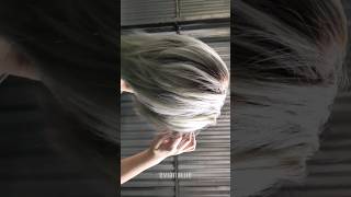 Hairvlog Ep 18 Wolf Cut Plus Bremod Aoki Ash Hair Color