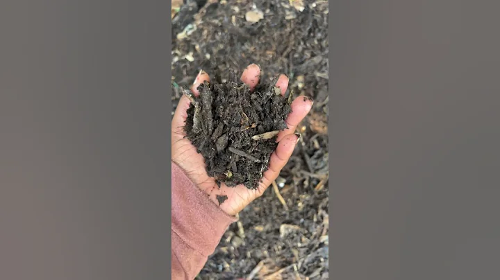 Did the food scraps disappear? #bokashi #compost #garden #compostpile #gardening #shorts #short