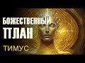 Божественный план ∞Тимус: Коллектив Вознесенных Владык-ченнелинг