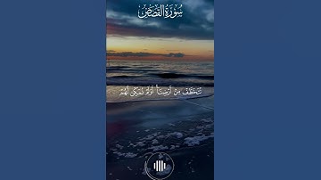 الشيخ وديع اليمني تلاوة خاشعة من سورة القصص